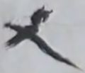 Catbird.jpg